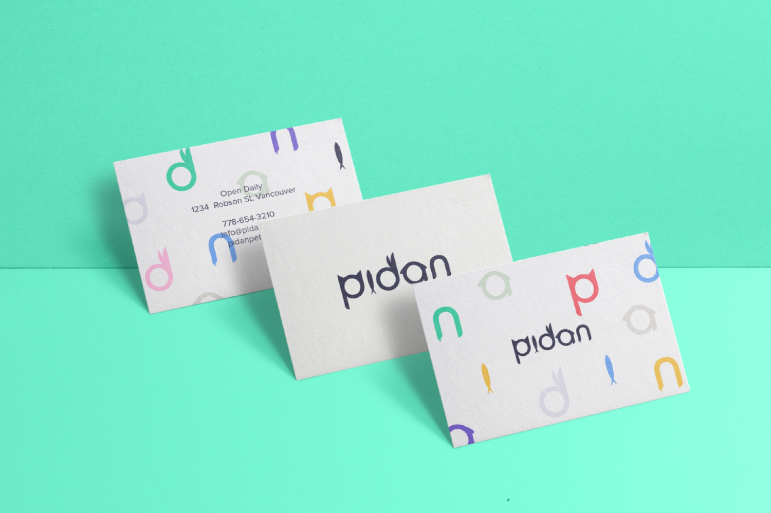 Pidan Pet Studio